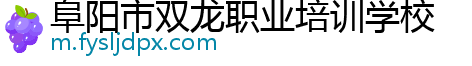 阜阳市双龙职业培训学校